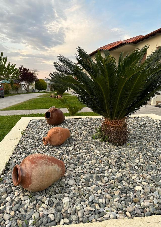 וורוורו Zinozis Beach Apartments מראה חיצוני תמונה